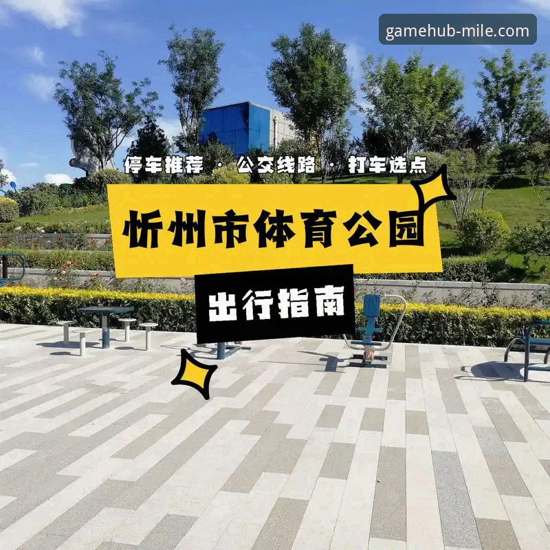 米乐体育资讯服务全面解析：从下载到使用的完整指南